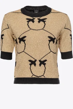 Tailleurs Et Ensembles|PINKO Pull Court En Jacquard Monogram Or/Noir